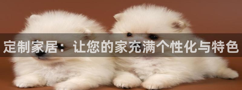 龙八国际是什么软件