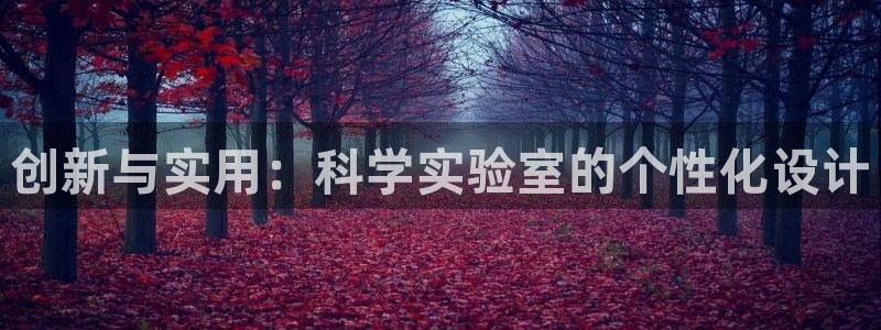 龙八国际有没有假