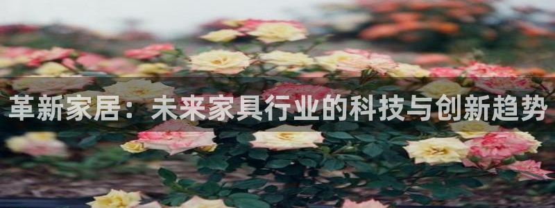 龙八国际娱乐二维码