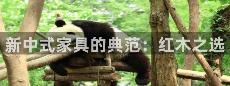龙八国际app客户端下载手机版