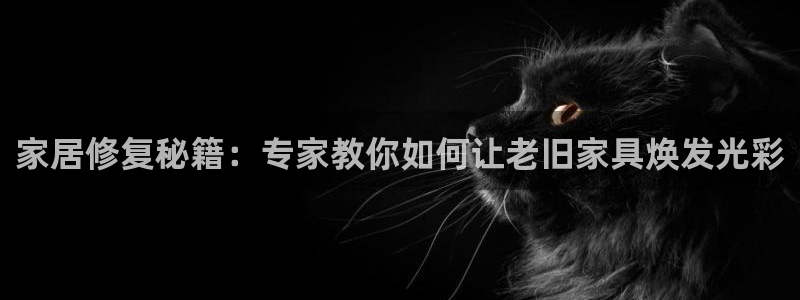 龙八国际官首页