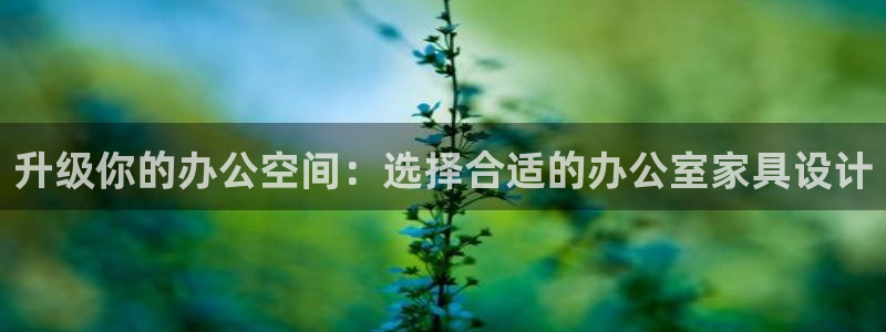 龙八国际头号玩家是谁啊
