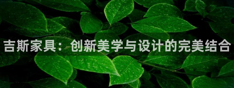 龙八国际有限责任公司