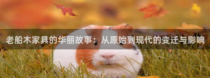 龙八国际有没有假