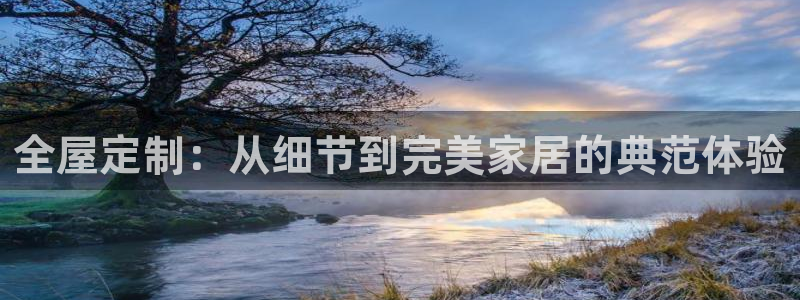 龙八国际贸易有限公司