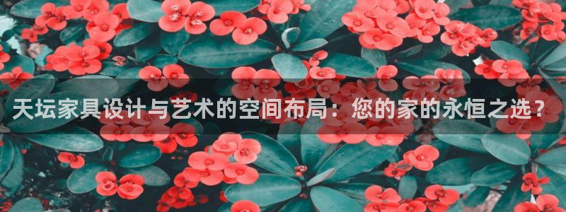 龙八国际视频网站