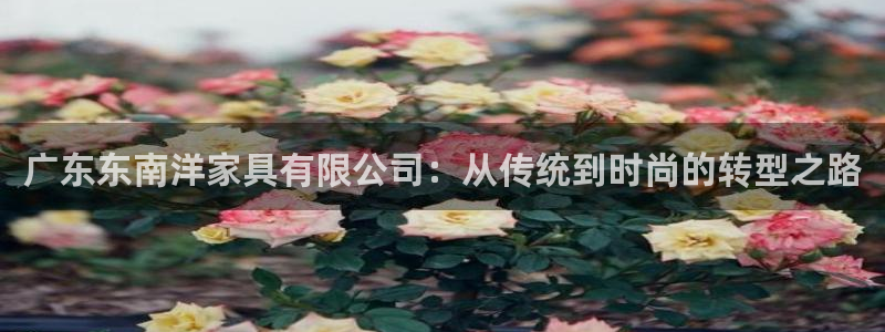 菲律宾龙八国际杀猪