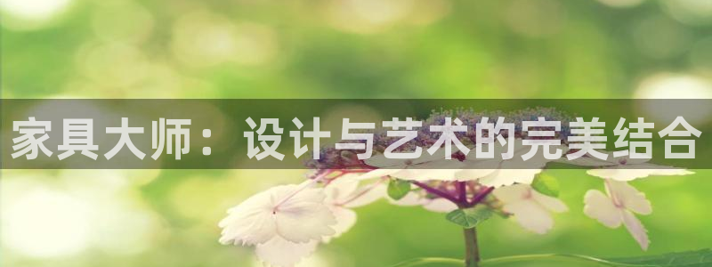 龙八国际版游戏