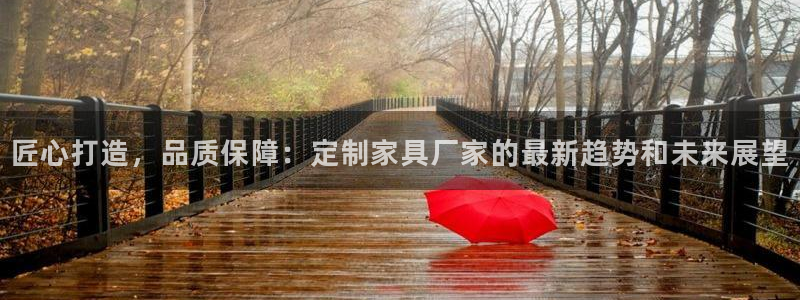 龙八国际服
