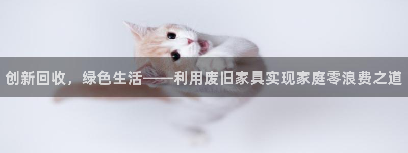 龙八国际跑路了吗