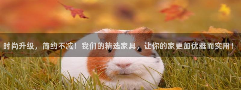 龙八国际手机版下载安装