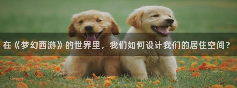 龙八国际娱乐官网app