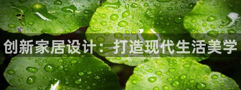 龙八国际官方娱乐网站com