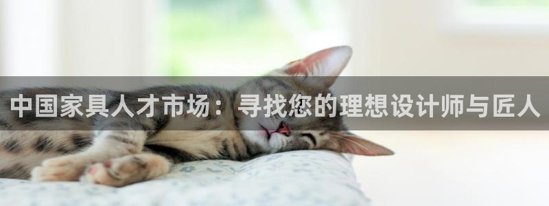 龙八国际娱乐城