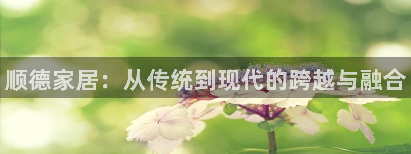 龙八国际头号玩家下截