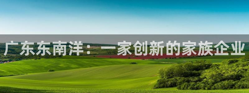 龙八国际怎么样