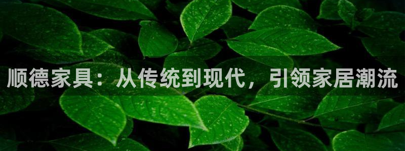 龙八国际娱乐App客户端下载