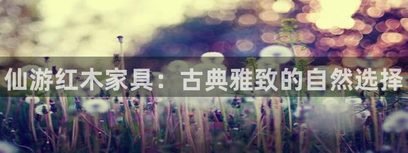 龙八国际app手机版下载苹果