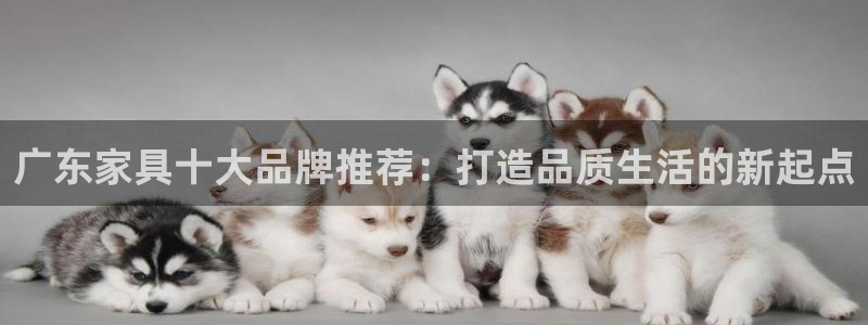 龙八国际娱乐官方