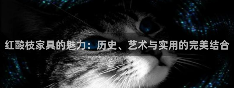 龙八国际APP官方版