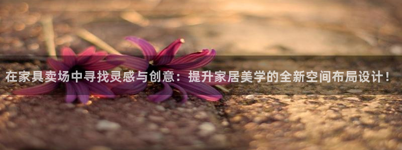 龙八国际菲律宾官网