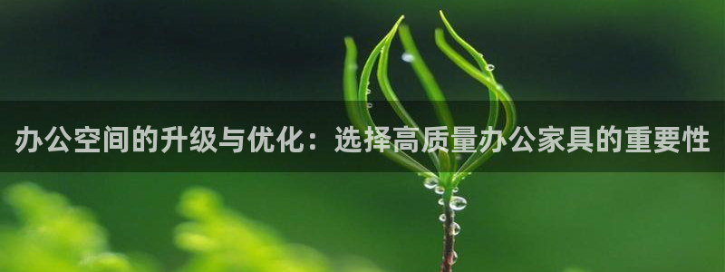 龙八国际手机版首页