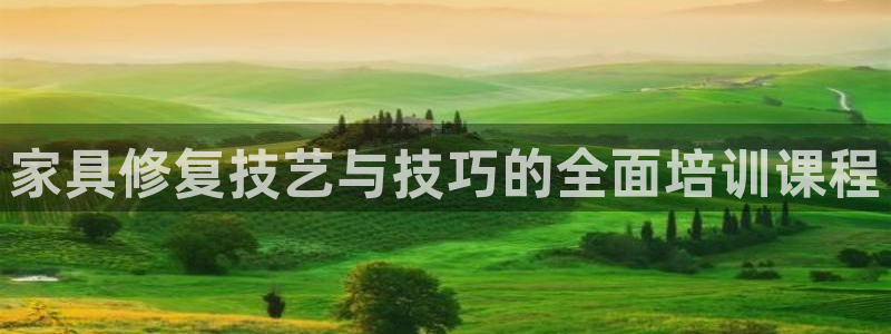 龙八国际服官网入口