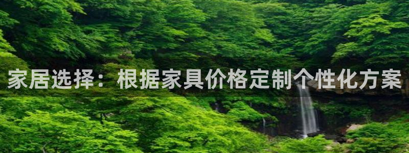 龙八国际优惠券有什么用：家居选择：根据家具价格定制个性化方案