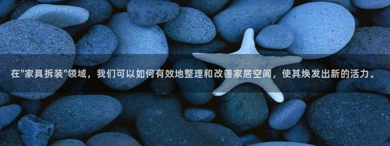 不会玩龙八国际
