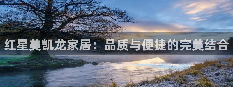 龙八国际官网手机版登陆