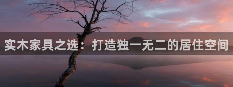 龙八国际娱乐游戏