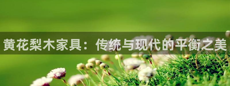 龙八国际平台yb48点top