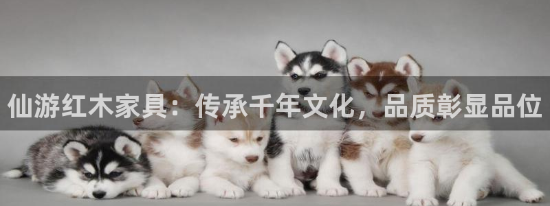 龙八国际客户端