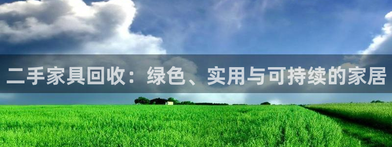 龙八国际pt