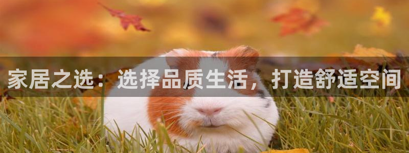 龙八国际娱乐App客户端下载