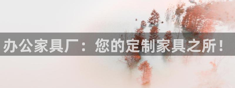 龙八国际2023