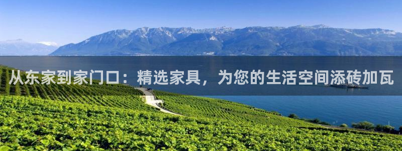 龙八国际刘佳烨