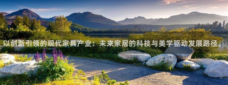 打开龙八国际