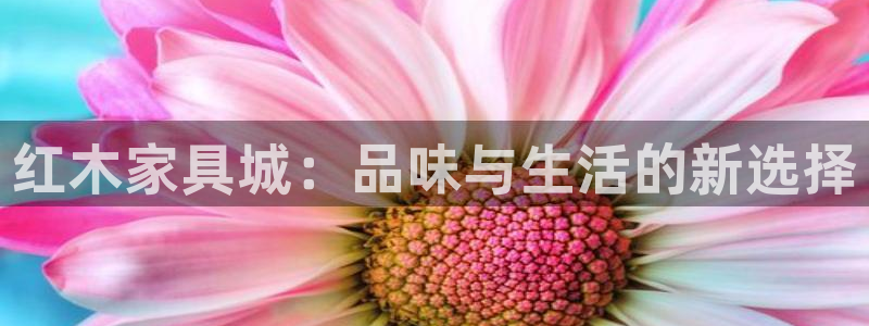 龙八国际app客户端下载手机版