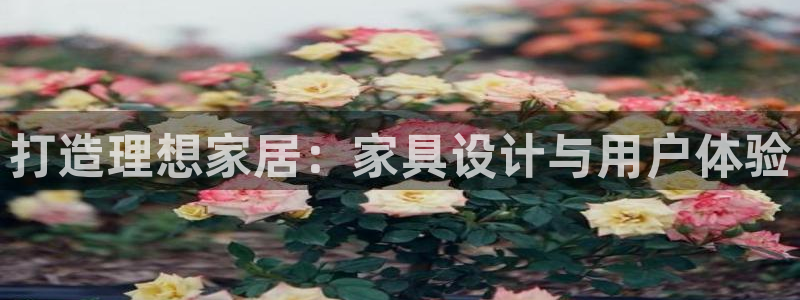龙八国际app官方网站