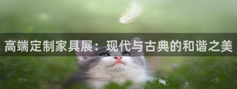 大英龙八国际