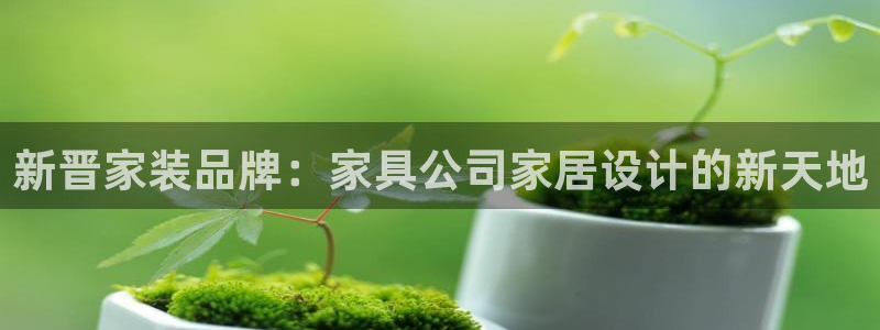 龙八国际电子游戏