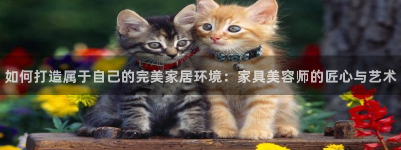 龙八国际棋牌官方网站