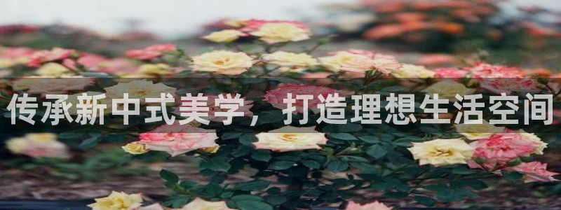 龙八国际app手机版下载安卓