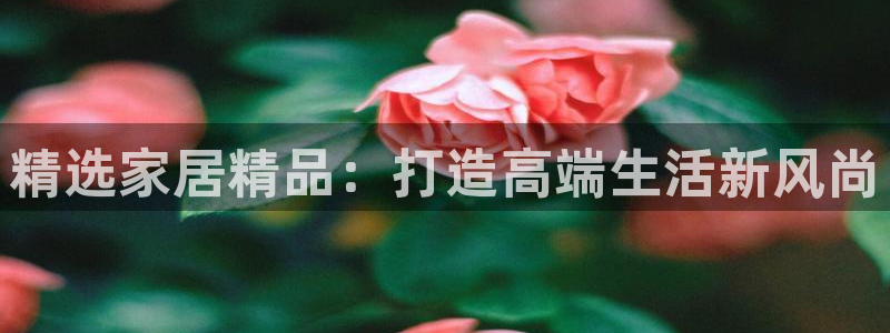 龙八国际服官方
