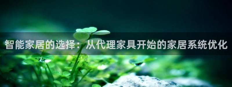 龙八国际可以京东充值吗