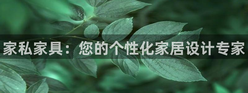 龙八国际新版本