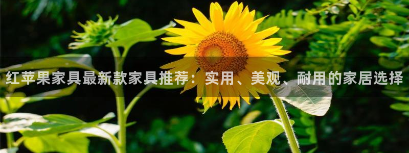 龙八国际app下载