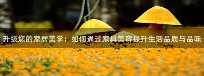 龙八国际手机版