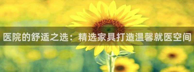 龙八国际相似的平台